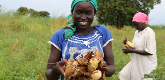 Rebecca Awan and Achoya Achor (left to right), carry garden maize after harvesting in Akolo Village, South Sudan.