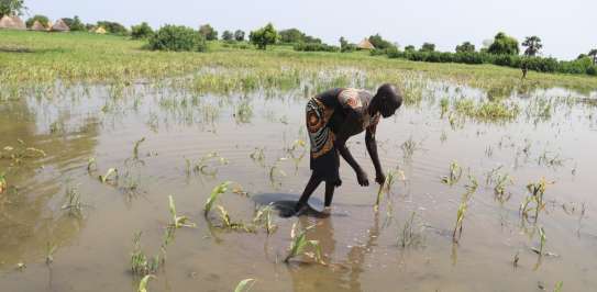 A woman standing in a flooded farmland in South Sudan