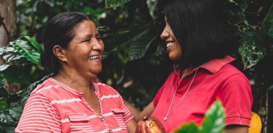 Two cocoa growers talk amidst their plantation