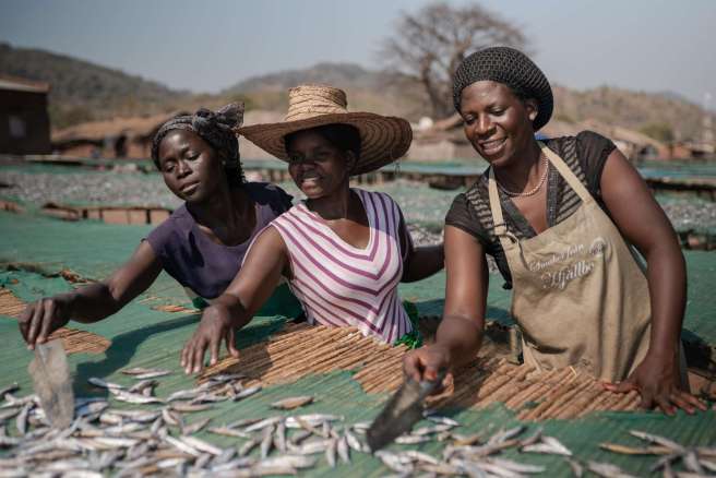 Anne Phiri (left), Maria Chindamnba and Tikambenji Chirwa dry fish to sell at the local market in southern Malawi.