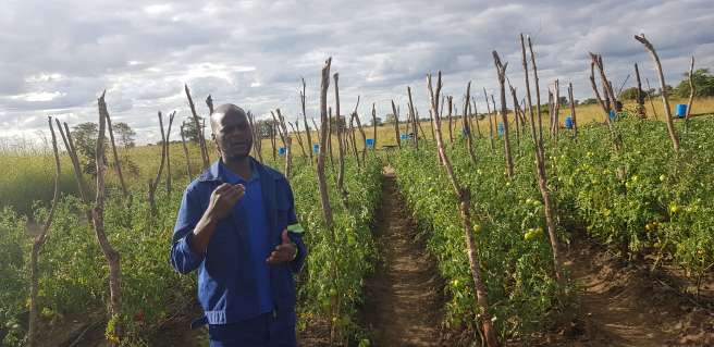 Example of the drip irrigation system.