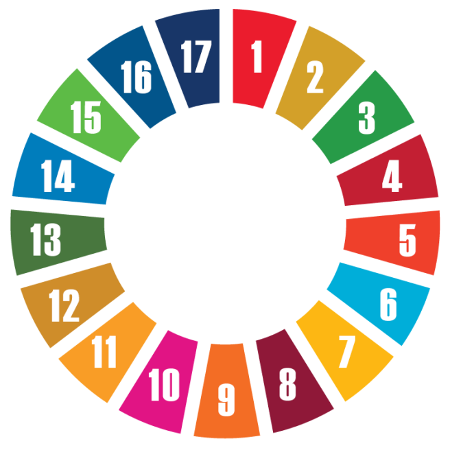 SDG wheel