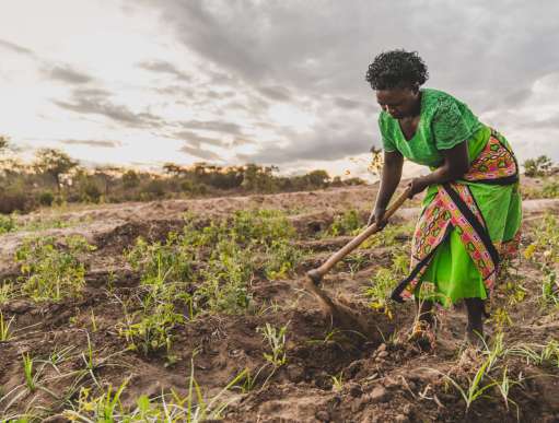 Faith Muvili working on her kitchen garden in Kenya.