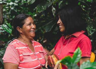 Two cocoa growers talk amidst their plantation