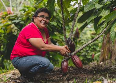 Woman, looking at the camera and smiling while harvesting cocoa fruits