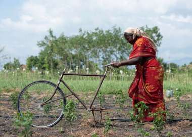 A lady ploughs a field using a converted bicycle