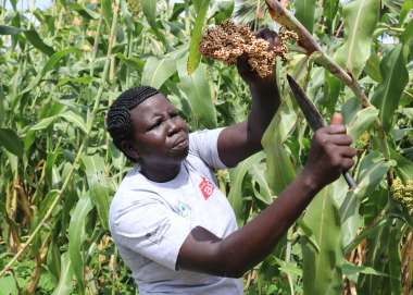 Ayel Dut Deng attends to her crops in South Sudan