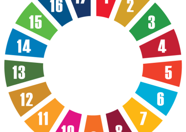 SDG wheel